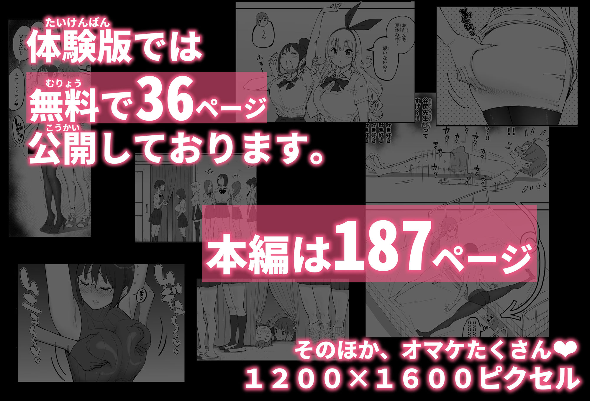 サンプル画像